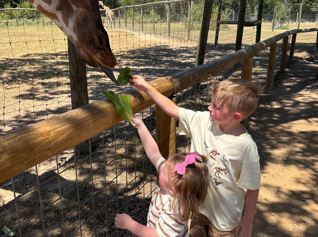 Texas Zoofari Park-Kaufman必去景点
