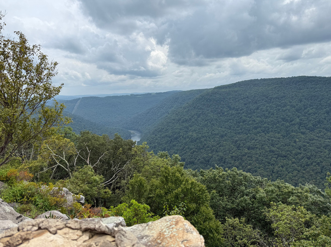 Coopers Rock State Forest-Bruceton Mills必去景点