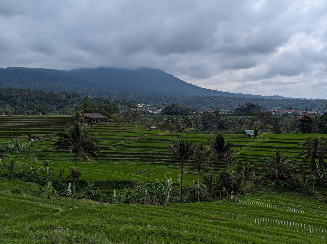 Bali Life Tours-乌布必去景点