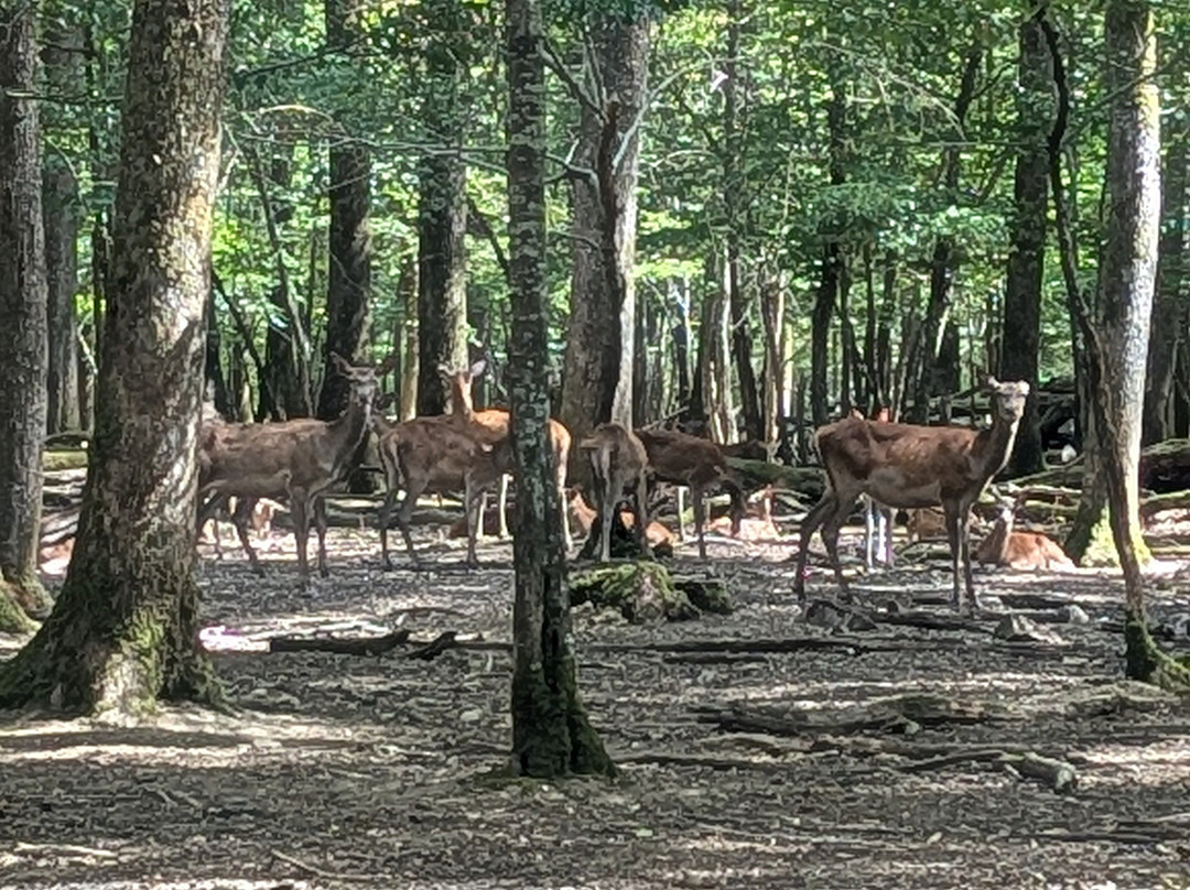Parc Naturel de Boutissaint-Treigny必去景点