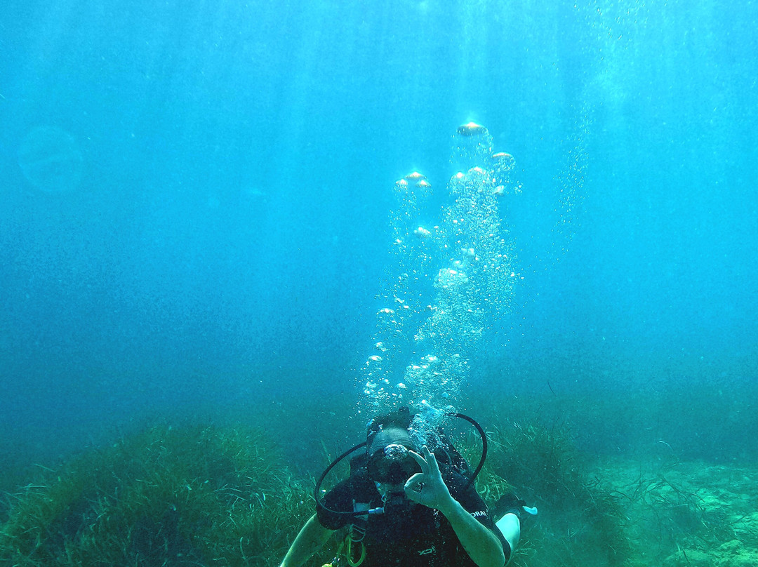 Triton Scuba Diving Centre Halkidiki-Paliouri必去景点