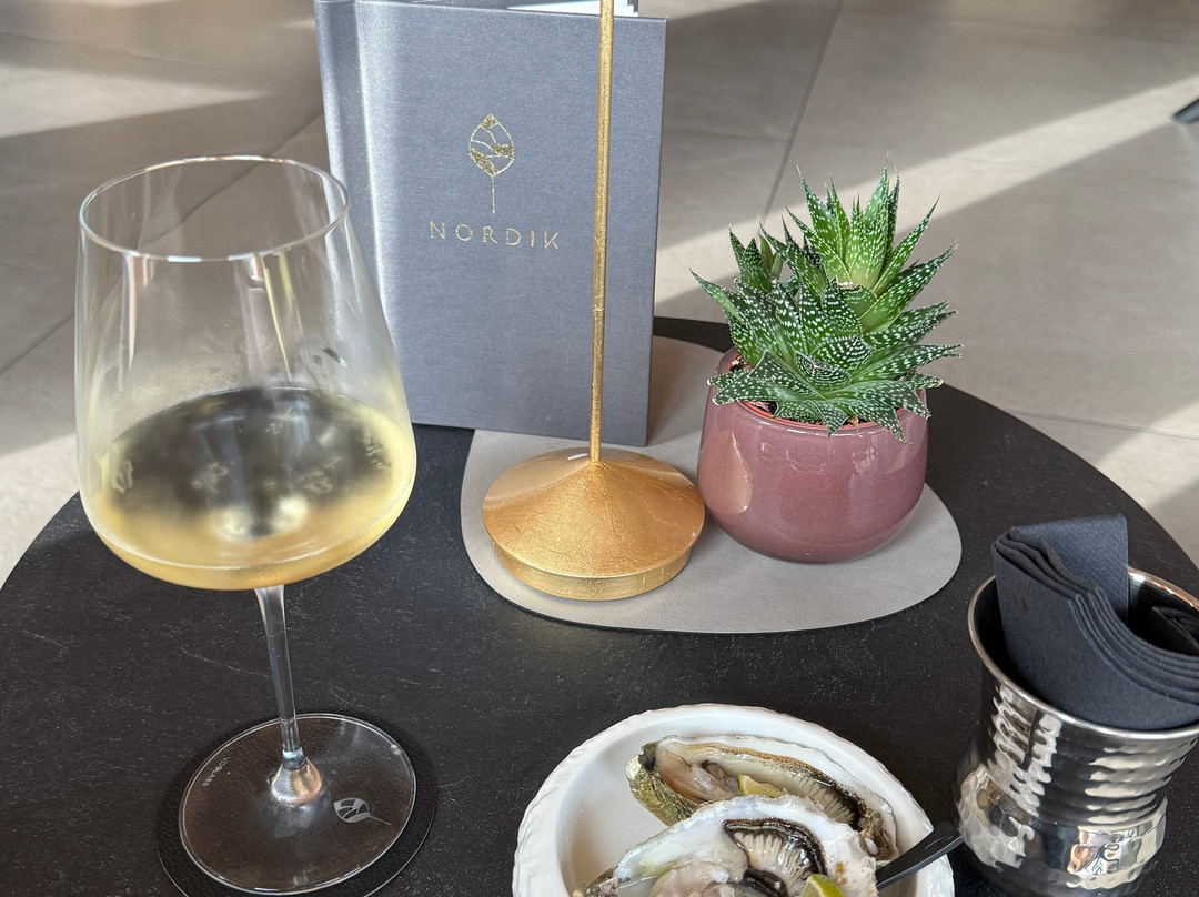 努尔迪克酒店主图