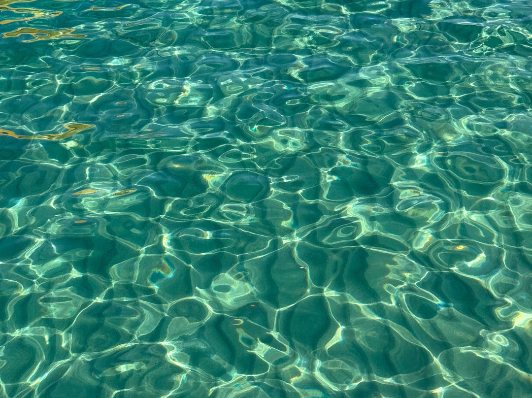 Spiaggia Azzurra-Alimini必去景点
