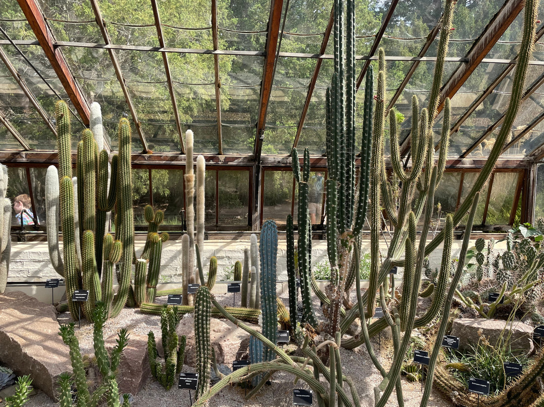 剑桥大学植物园-剑桥必去景点