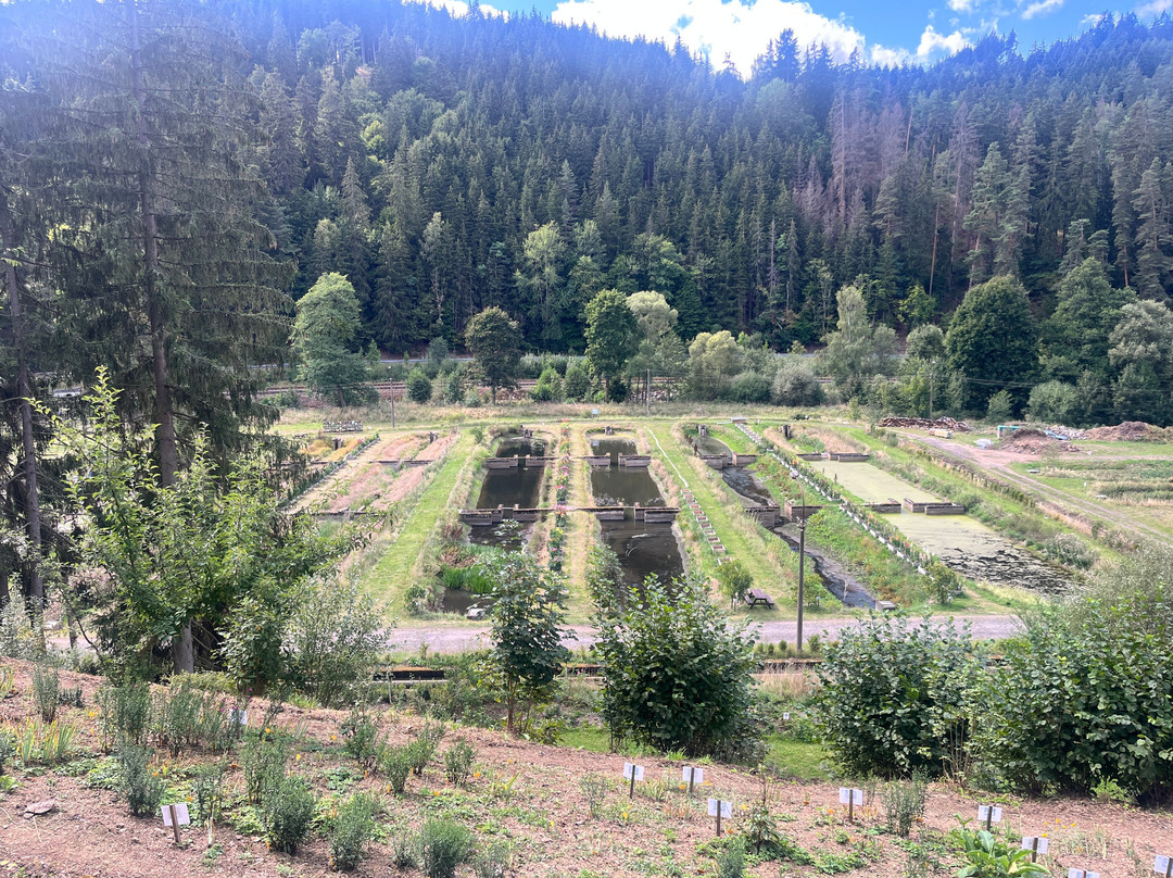 Botanical Garden Bečov nad Teplou-Becov nad Teplou必去景点