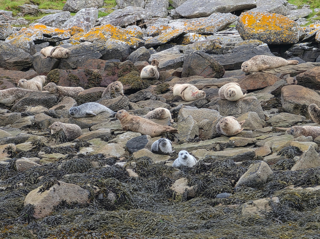 Stardust Boat Trips Portree-Portree必去景点