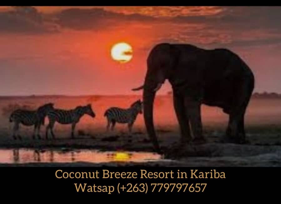 Lake Kariba-卡里巴必去景点