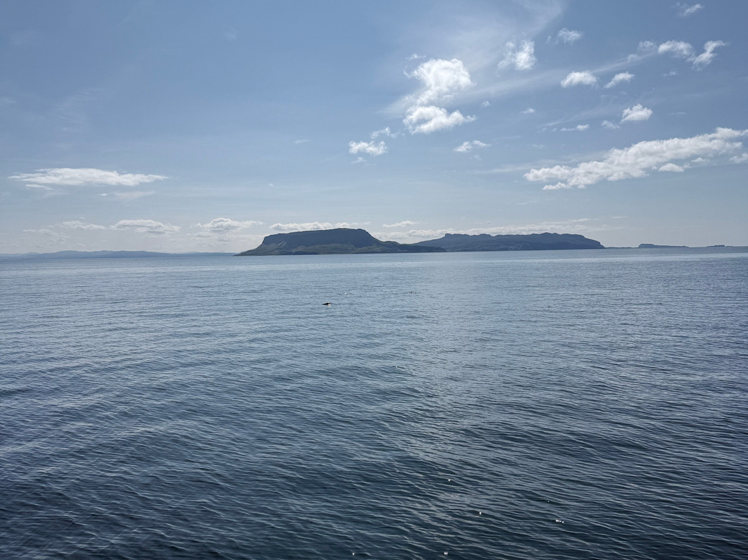 Minch Adventures-Mallaig必去景点