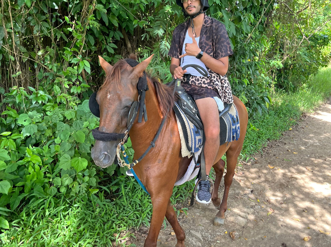 Carabali Rainforest Adventure Park-Luquillo必去景点