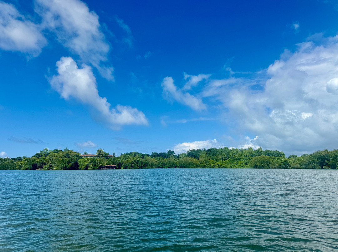 Darshana Tours - Private Driver Sri Lanka-尼甘布必去景点