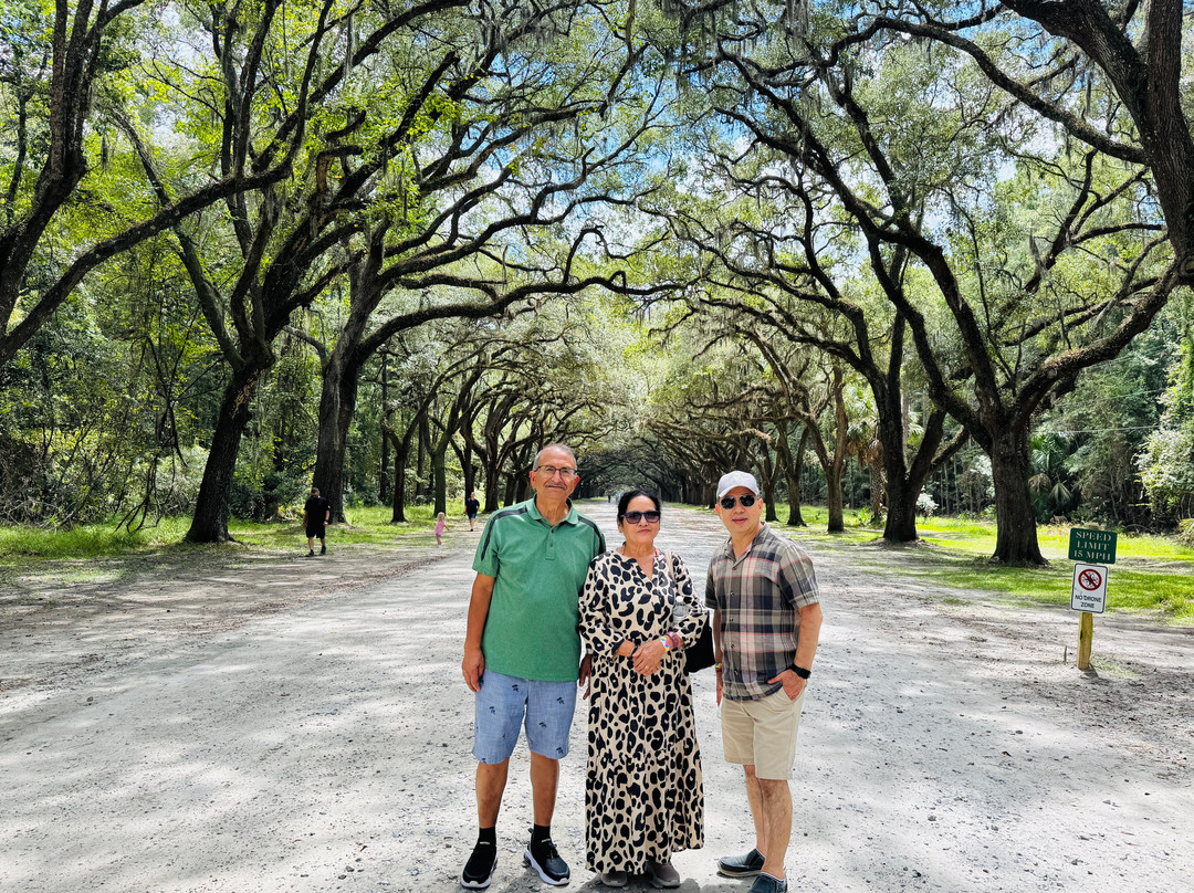 Wormsloe Historic Site-萨凡纳必去景点