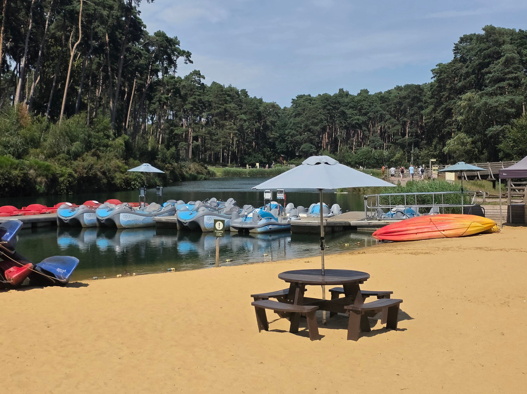 Center Parcs Woburn Forest主图
