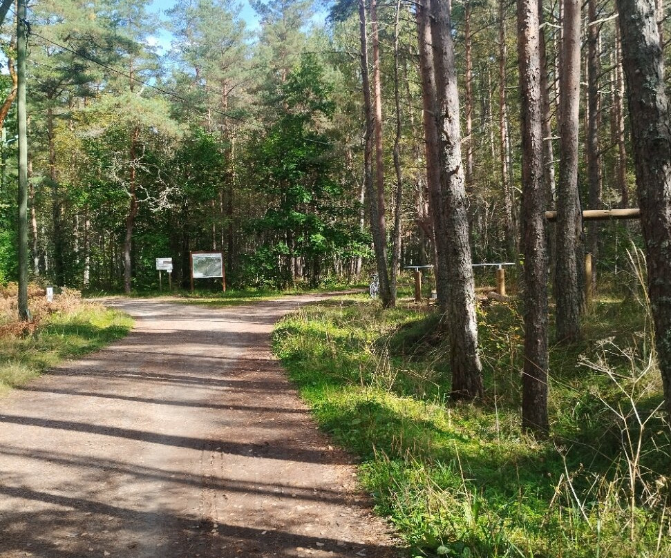 Harku Forest Nature Trail-塔林必去景点