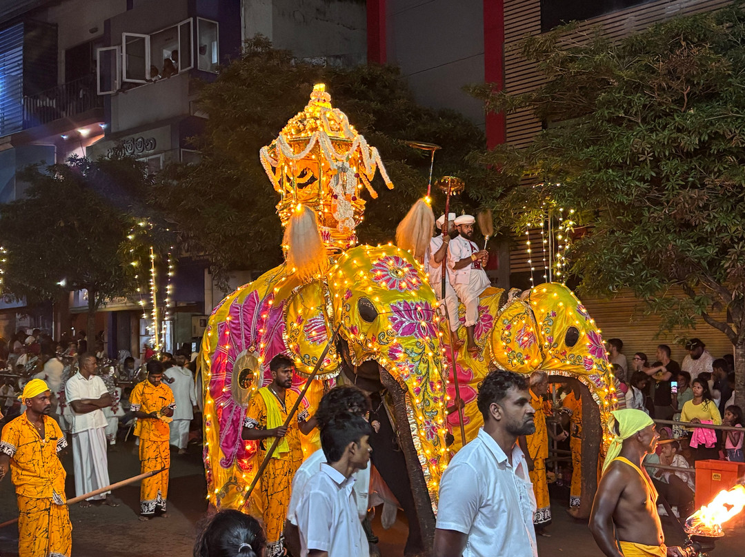 Taxi Kandy AGS Tours Sri Lanka-康提必去景点