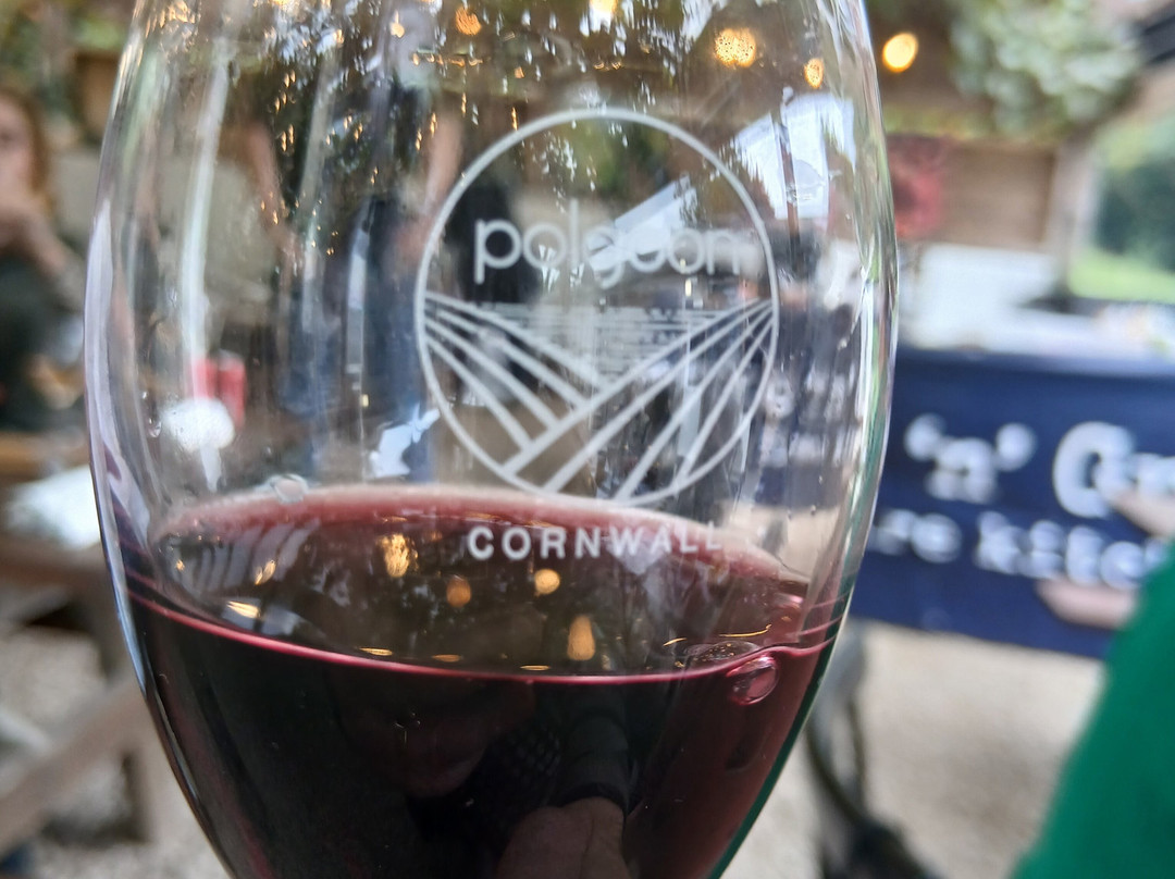 Polgoon Vineyard-彭赞斯必去景点