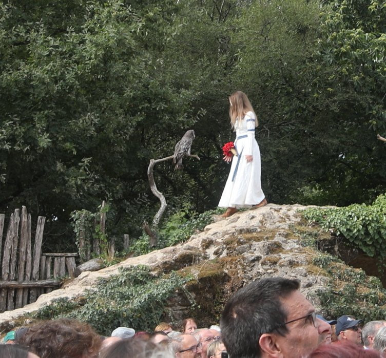 Puy-du-Fou Les Incontournables 3 Le Bal des Oiseaux Fantômes-莱瑟佩瑟必去景点