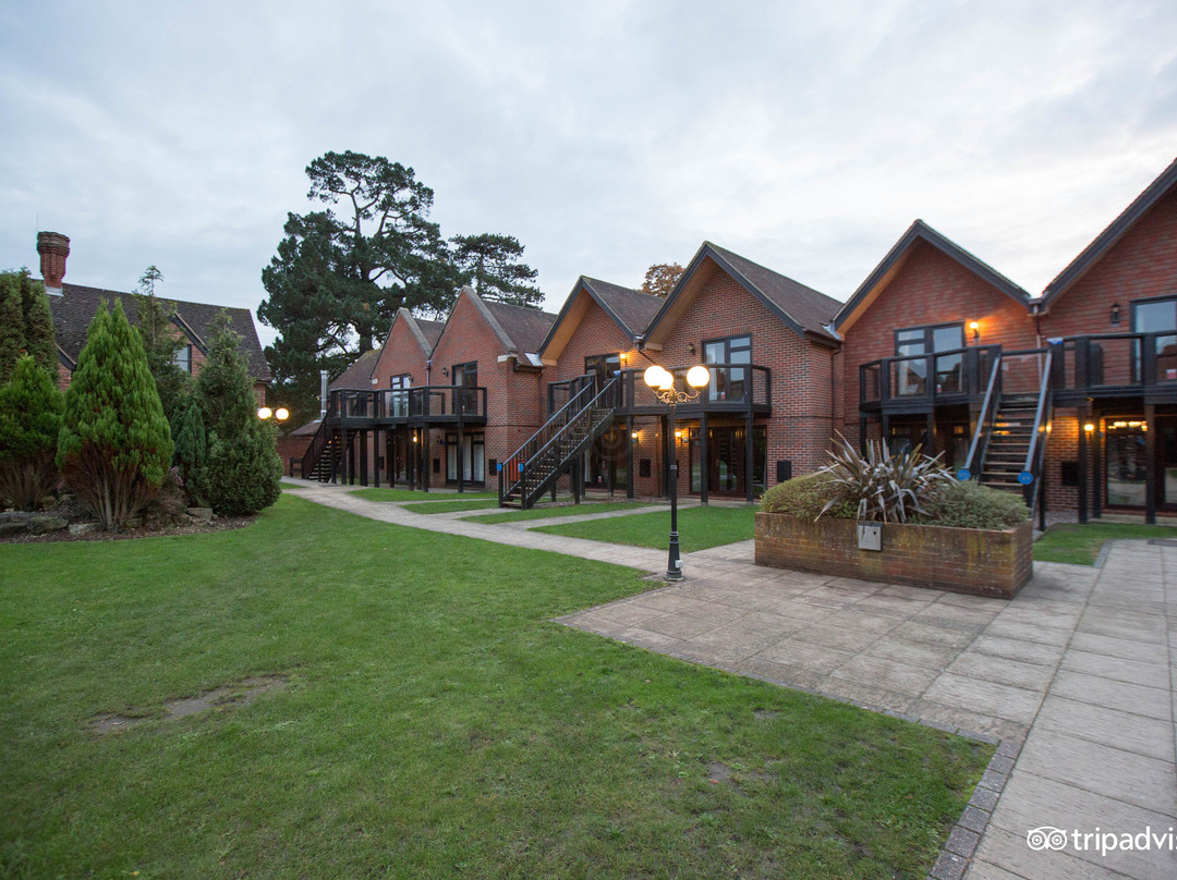 THE NICI New Forest