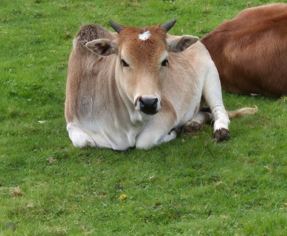 The Lake District Wildlife Park-Bassenthwaite必去景点