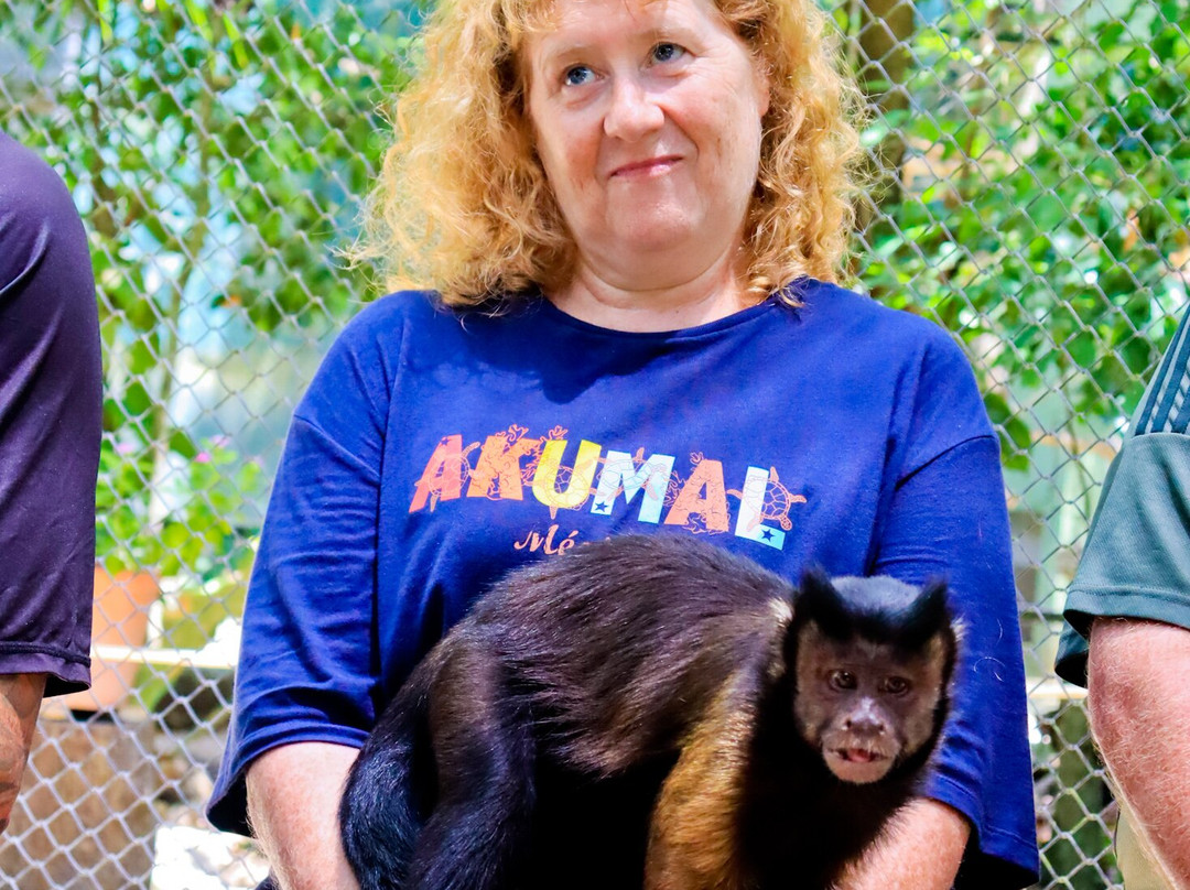 Akumal Monkey Sanctuary & Rescued Animals-艾库玛尔必去景点