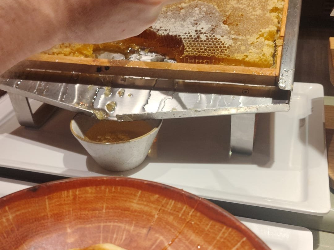 迪士尼红杉小屋®主图