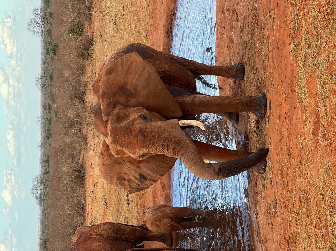Watamu Diego Safari Day Tours-瓦塔木必去景点
