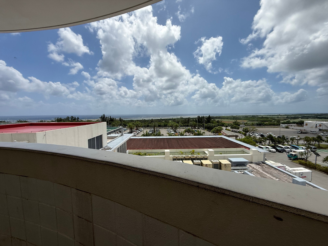 Painushima Ishigaki Airport Observation Deck-石垣市必去景点