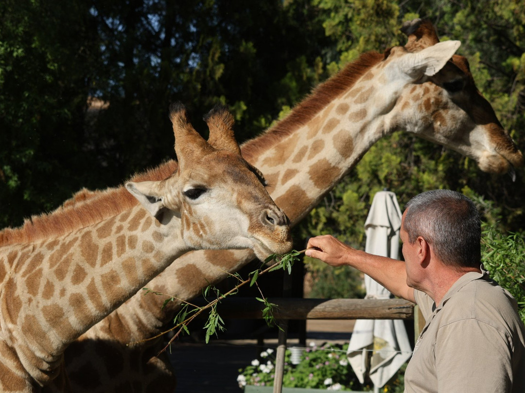Chandelier Game Lodge & Ostrich Show Farm-奥兹洪必去景点