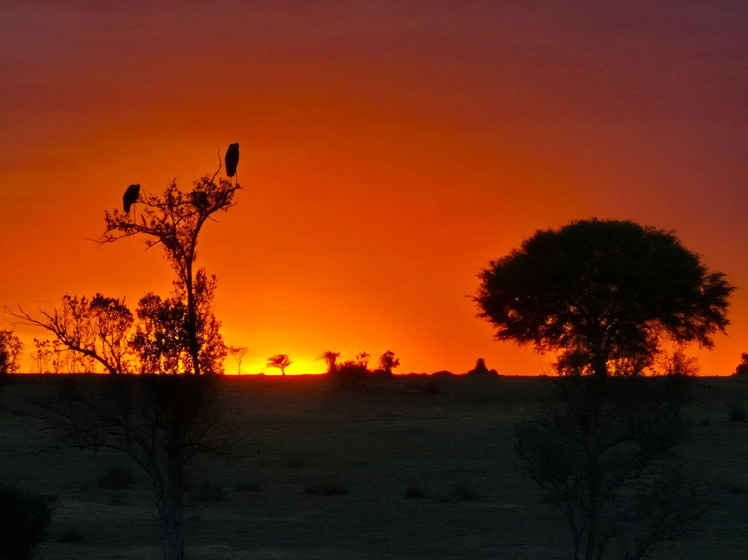 Mbuni Tented Camps-Seronera必去景点