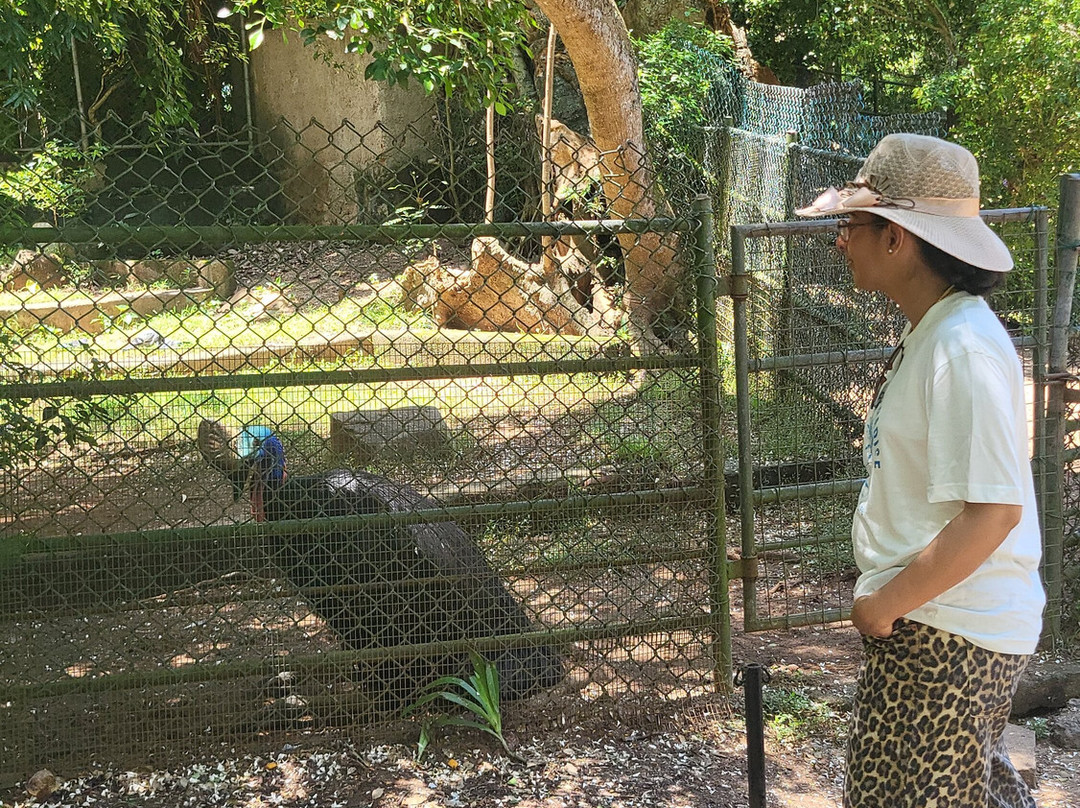 Dehiwala Zoo - Sri Lanka-拉非尼亚山必去景点