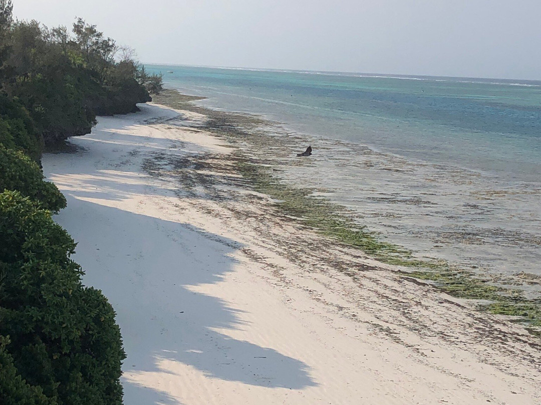 Dongwe Beach-多恩维必去景点
