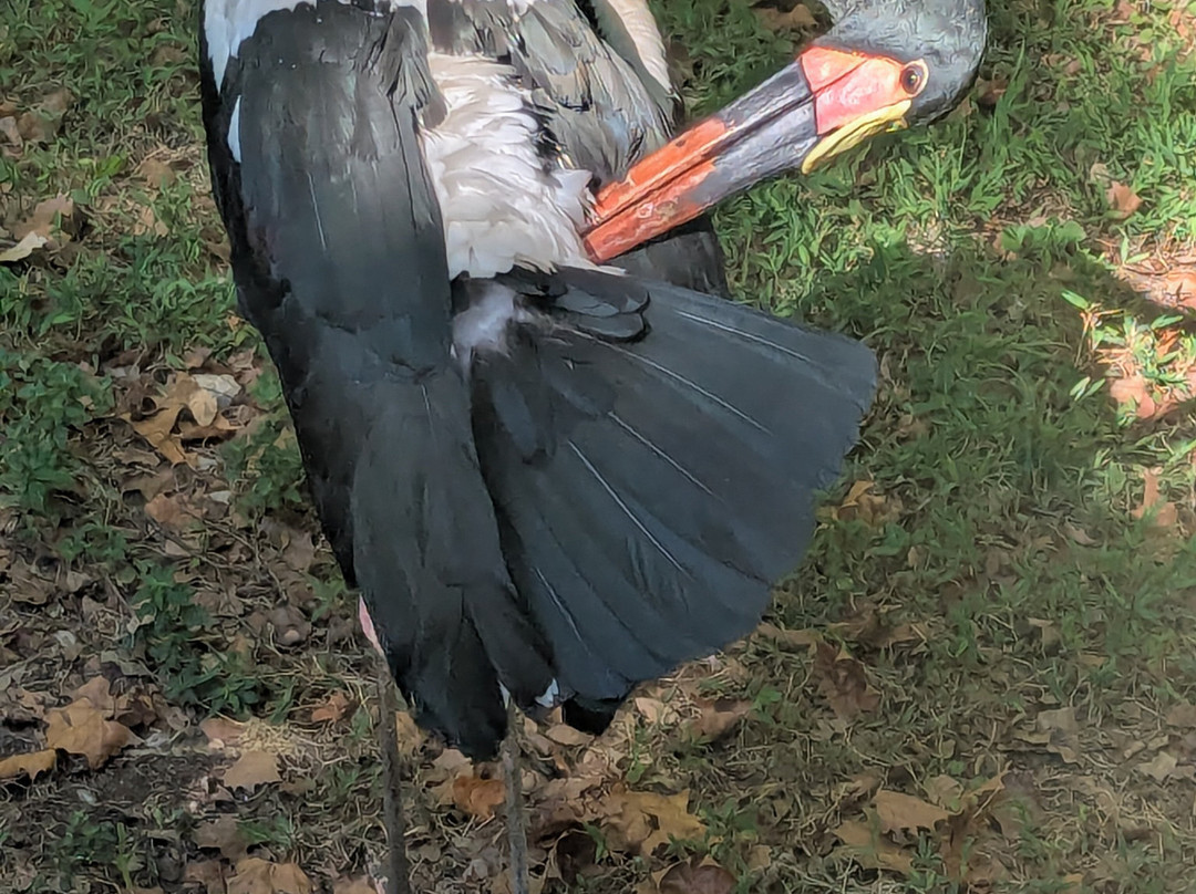 Nashville Zoo-纳什维尔必去景点