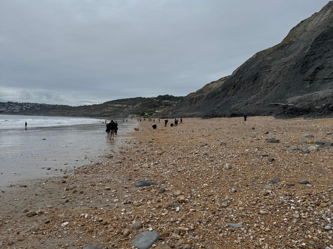 Jurassic Coast Guides-Charmouth必去景点