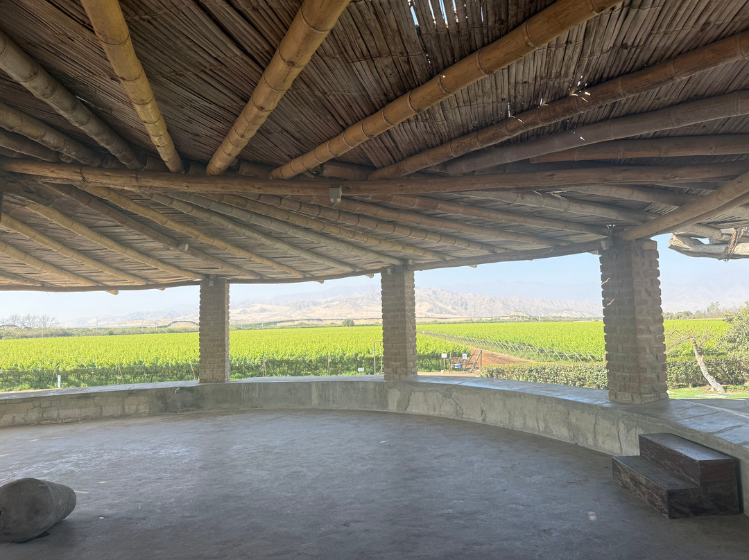 酒店和Hacienda La Caravedo农场主图