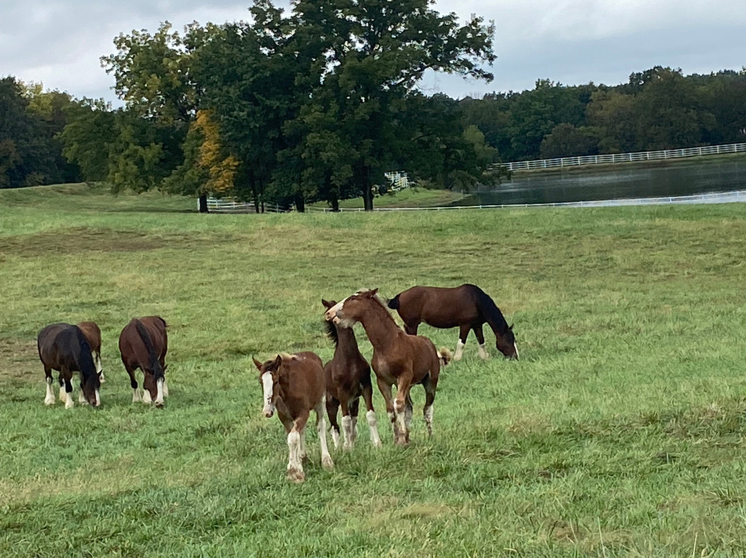 Warm Springs Ranch-Boonville必去景点