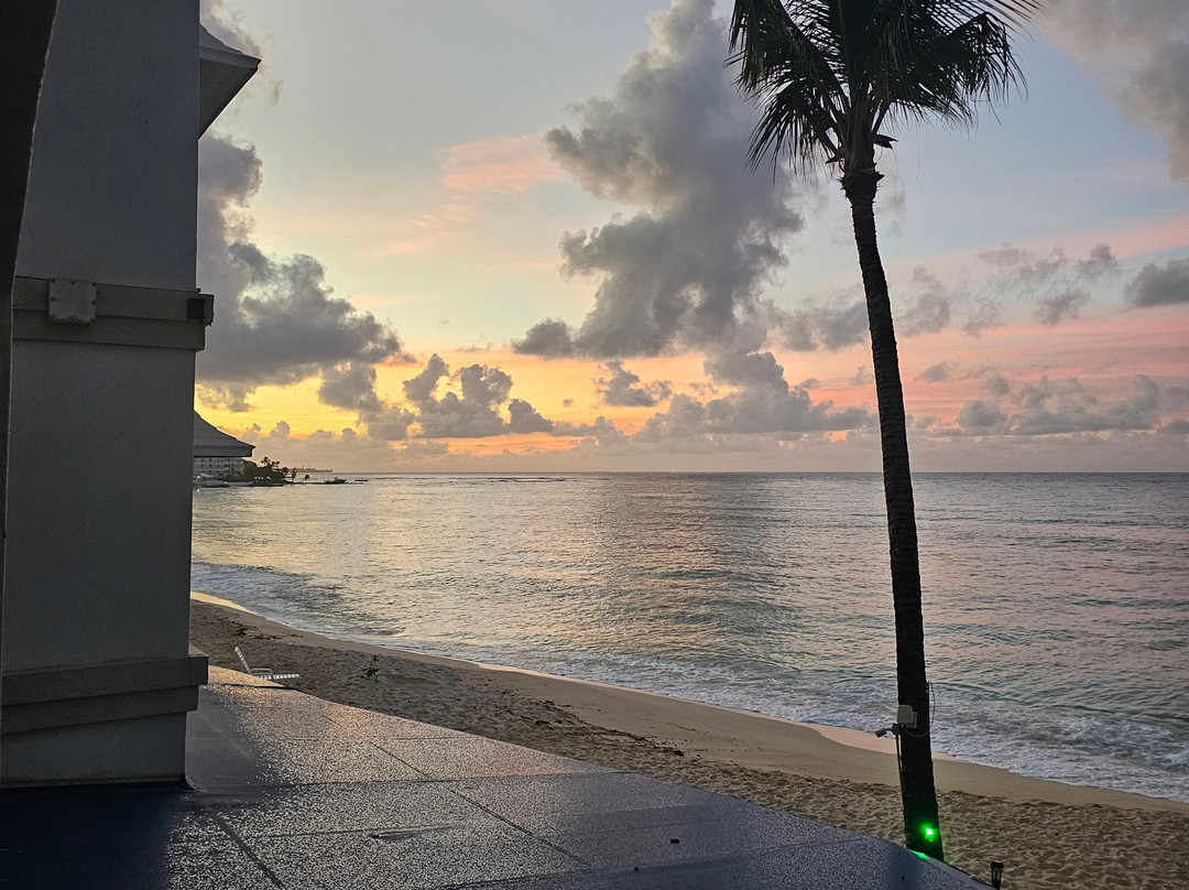 珊瑚雾海滩酒店主图
