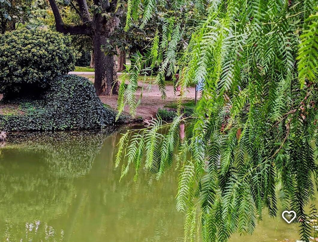 Lac Du Moulin-Le Soler必去景点