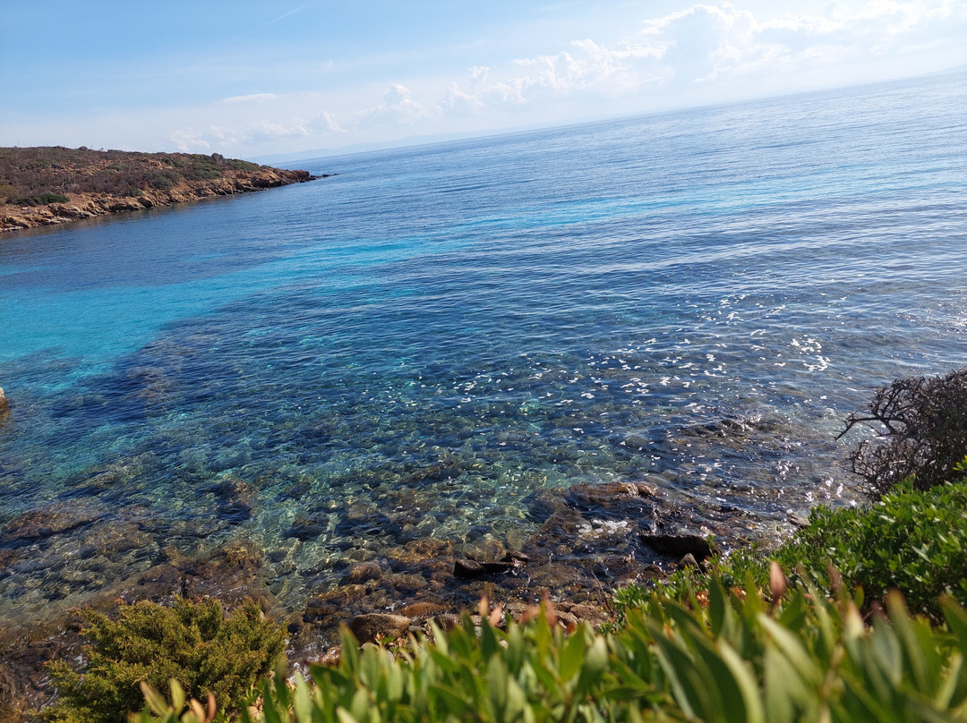Wild Asinara Park-萨萨里省必去景点