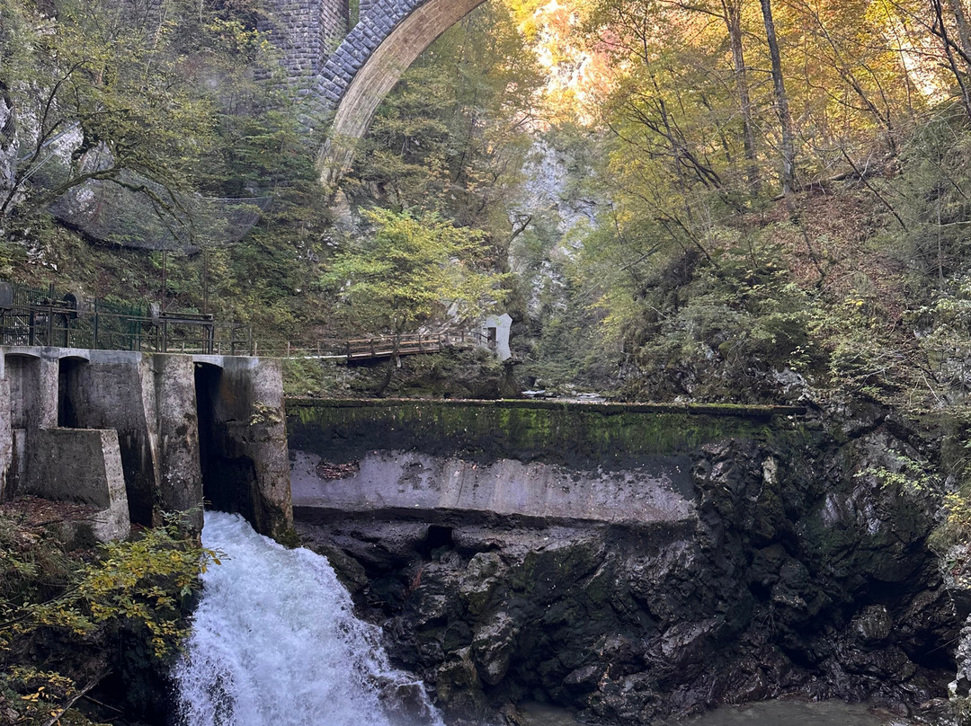 文特加峡谷（Soteska Vintgar）-Zgornje Gorje必去景点
