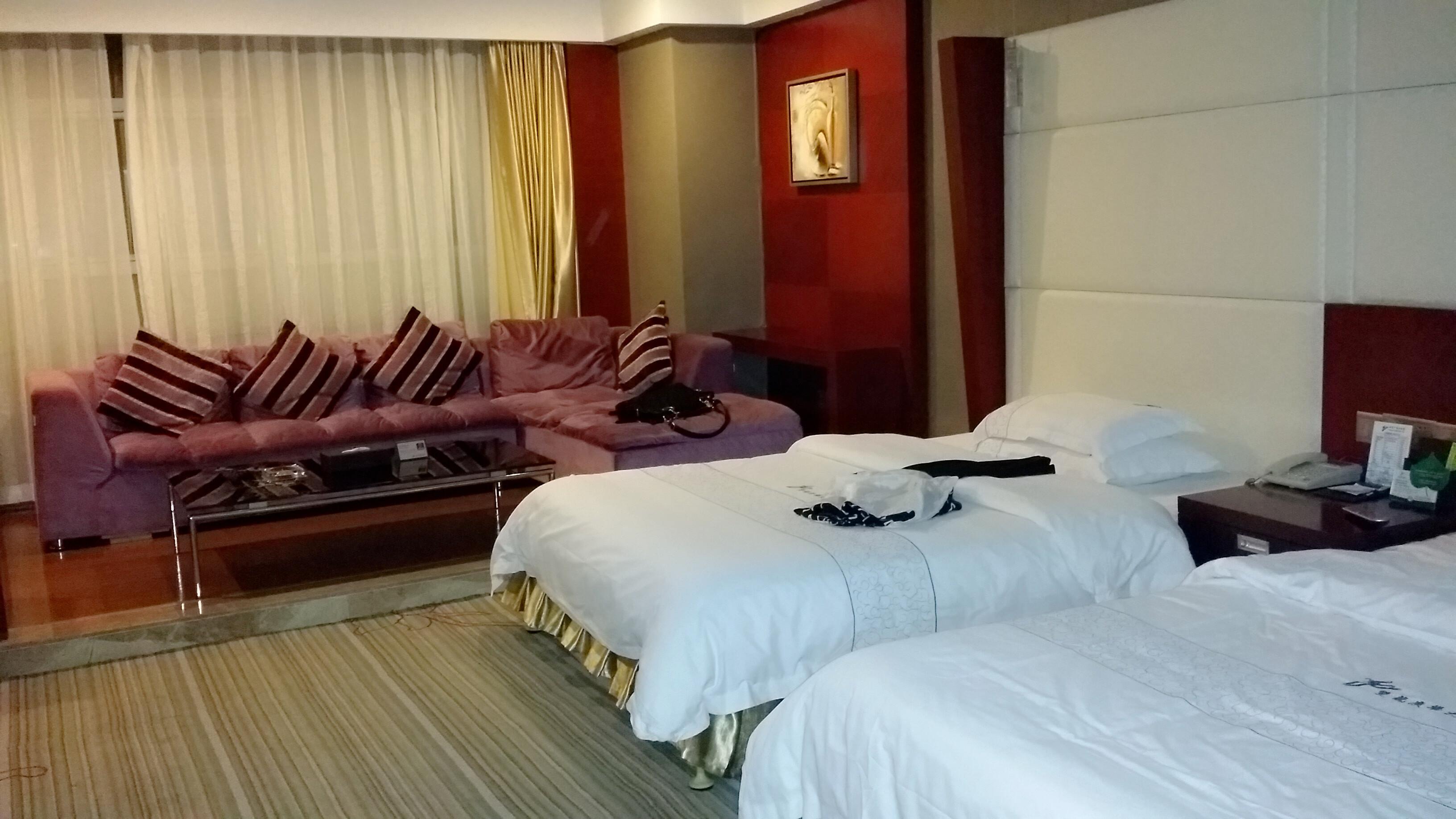 双龙广场大酒店-客卧