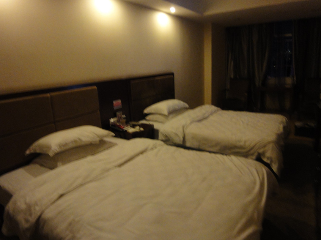 天一大酒店主图