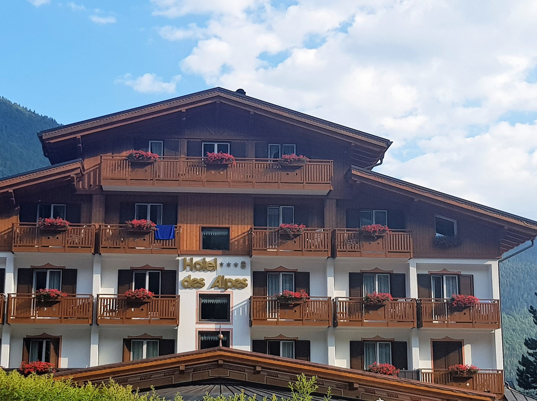 Hotel Des Alpes