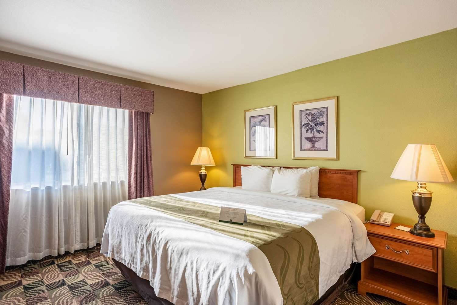 Quality Inn & Suites-官方
