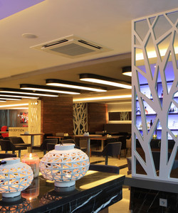 Mimi Hotel Ankara酒店图片