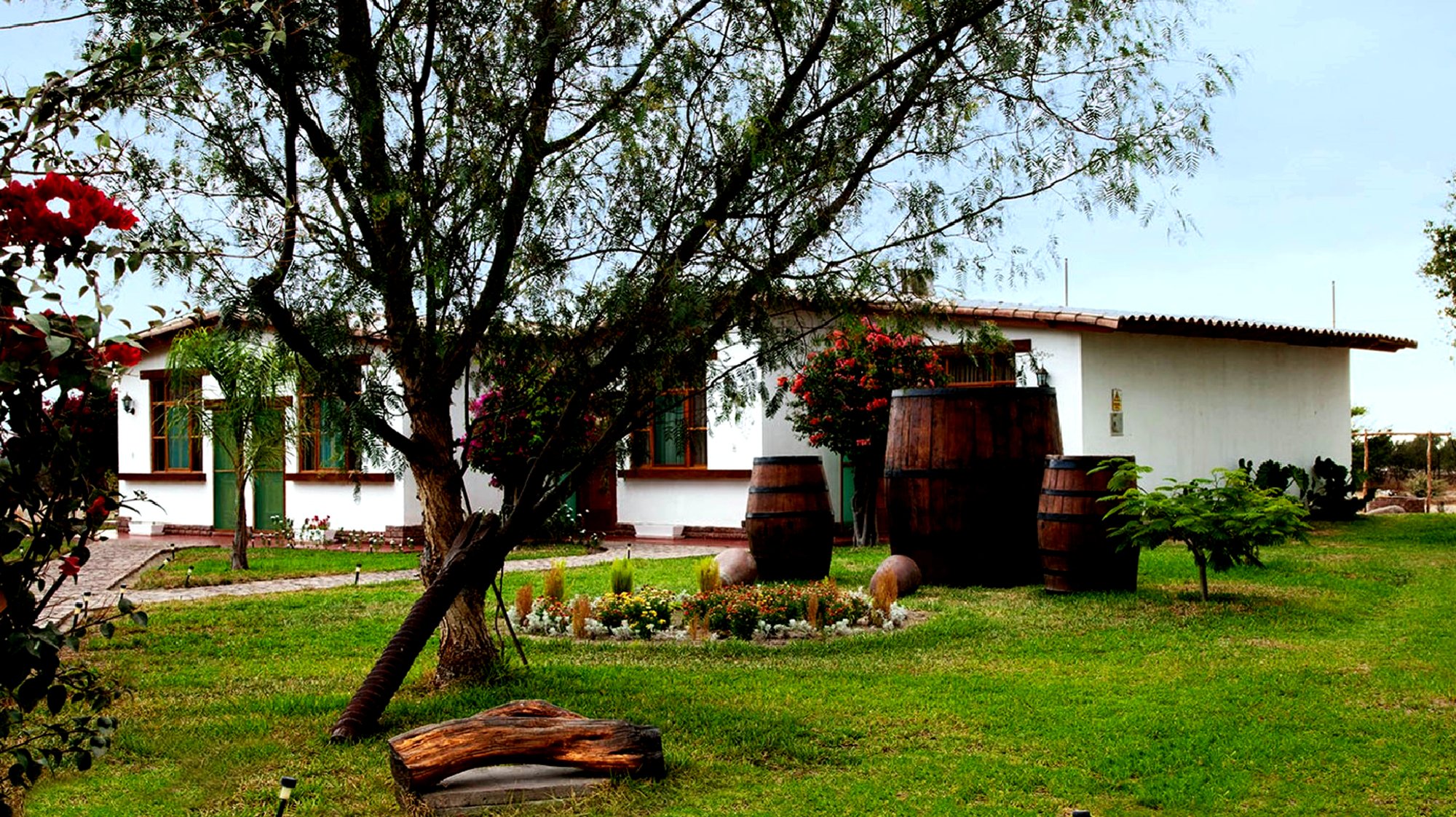 Casa Hacienda Nasca Oasis-官方