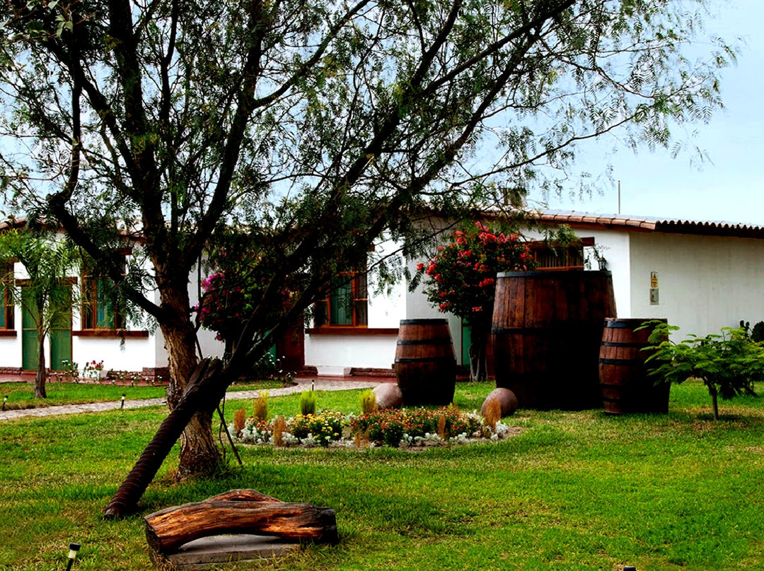 纳斯卡酒店住宿-Casa Hacienda Nasca Oasis