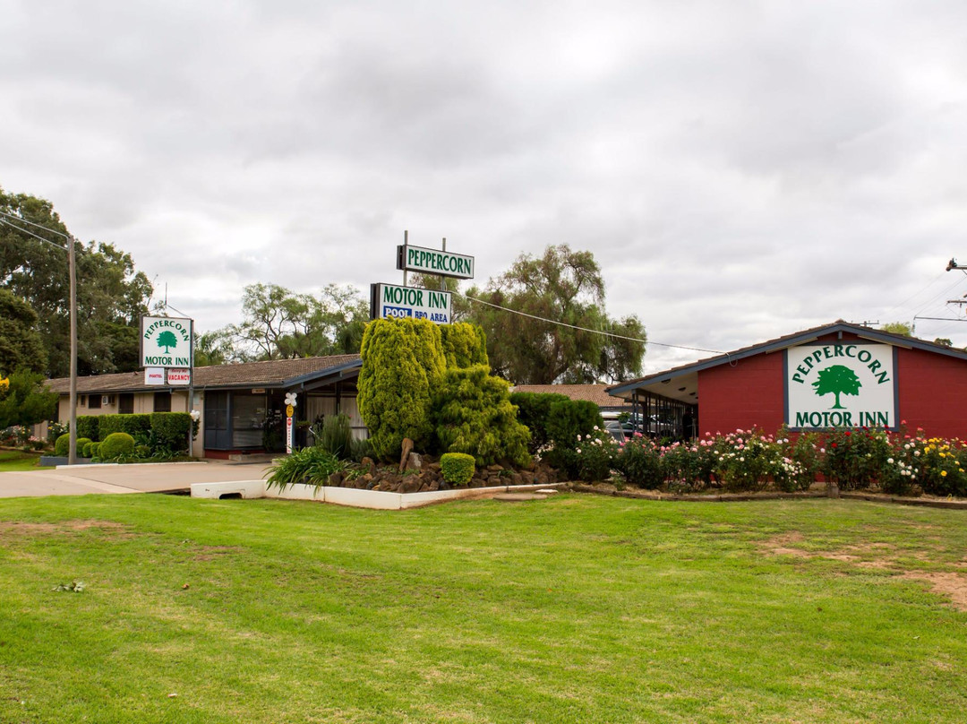 Peppercorn Motor Inn主图