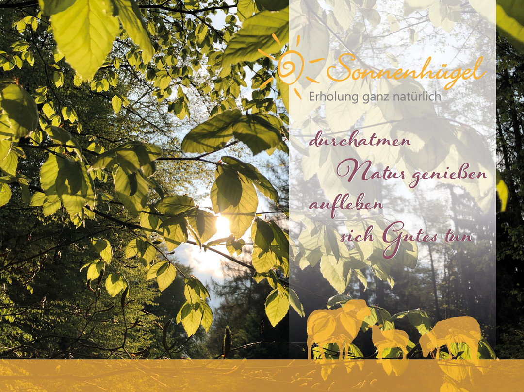 Sonnenhügel Hotel & Restaurant主图