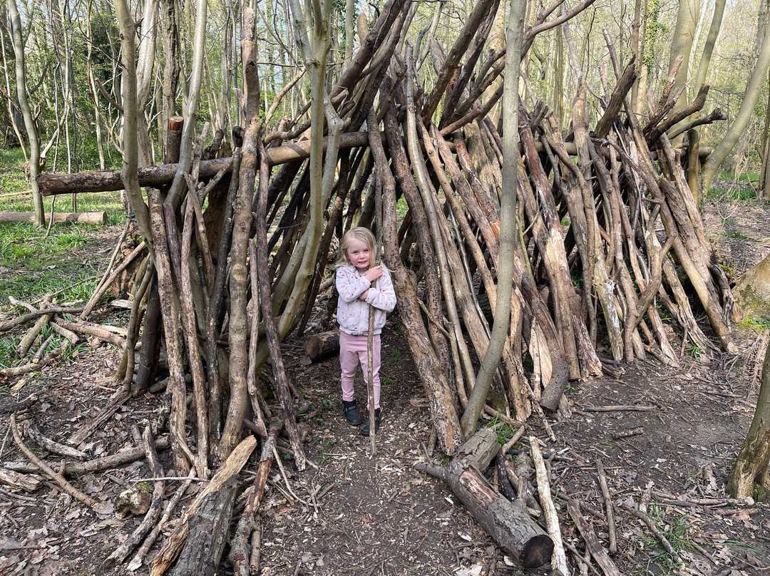 Reydon Wood