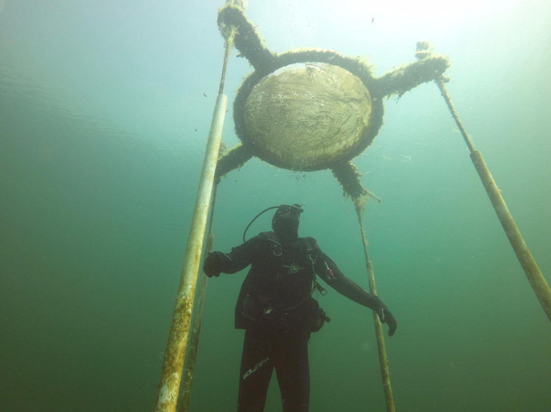 Moby's Dive Shop, Inc.-大急流市必去景点