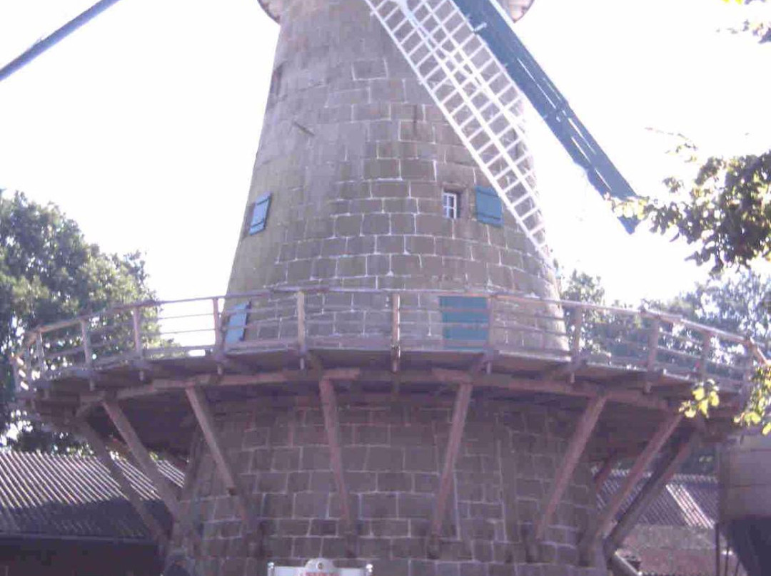 Enkings Mühle景点图片